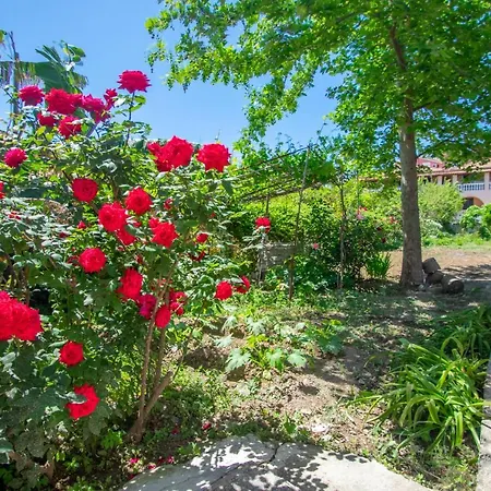Dora's Tsilivi House A By 
